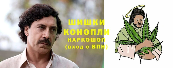 спиды Сосновоборск