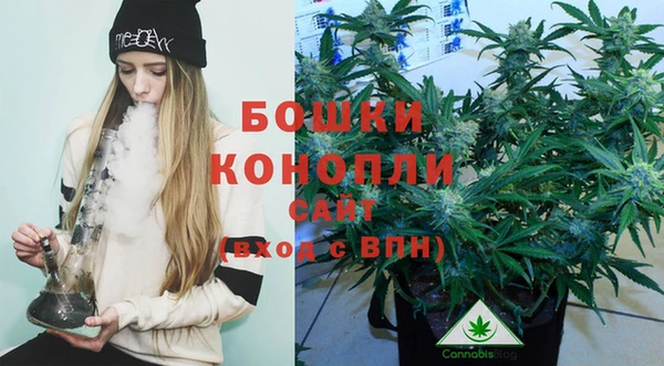 спиды Сосновоборск