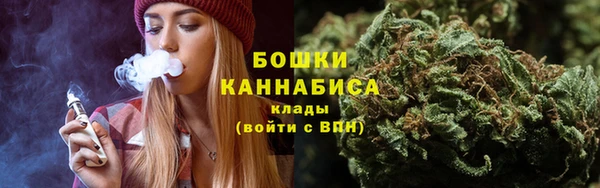 спиды Сосновоборск