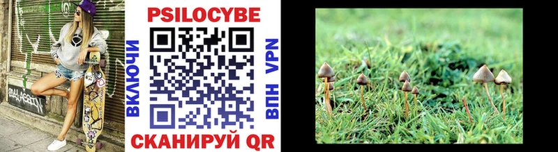 Галлюциногенные грибы Psilocybine cubensis  Староминская 